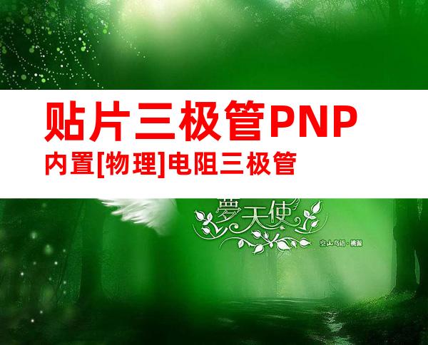 贴片三极管PNP内置[物理]电阻三极管